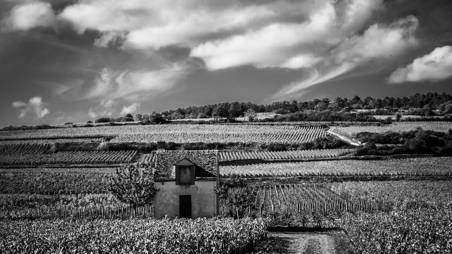 Una rustica casa in pietra si erge tra vasti vigneti terrazzati sul pendio della collina.